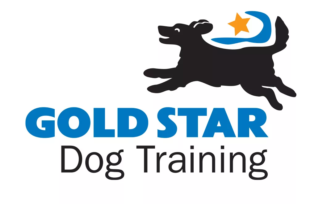 Gold Star Dog Training