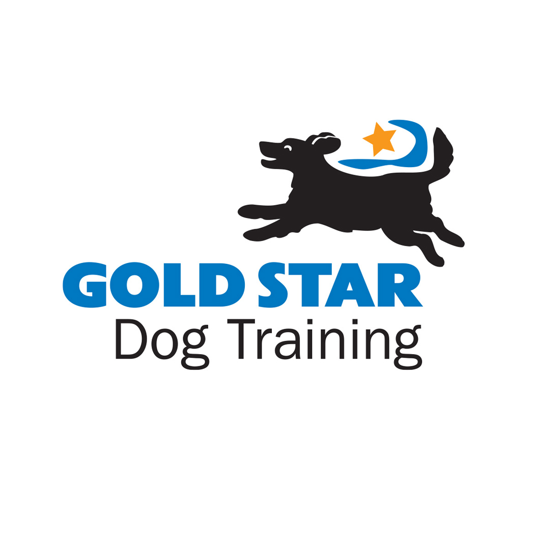 Gold Star Dog Training