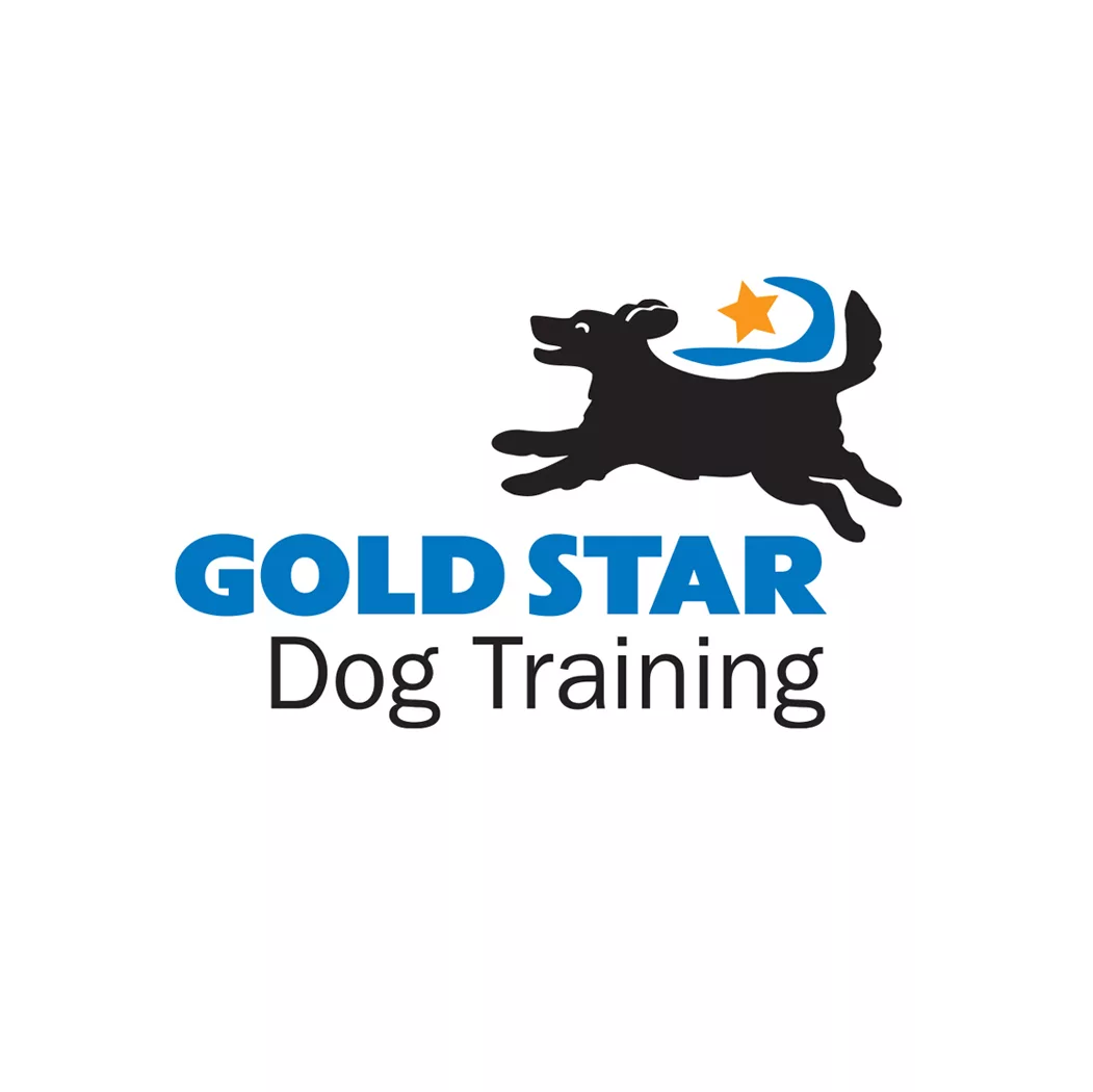 Gold Star Dog Training