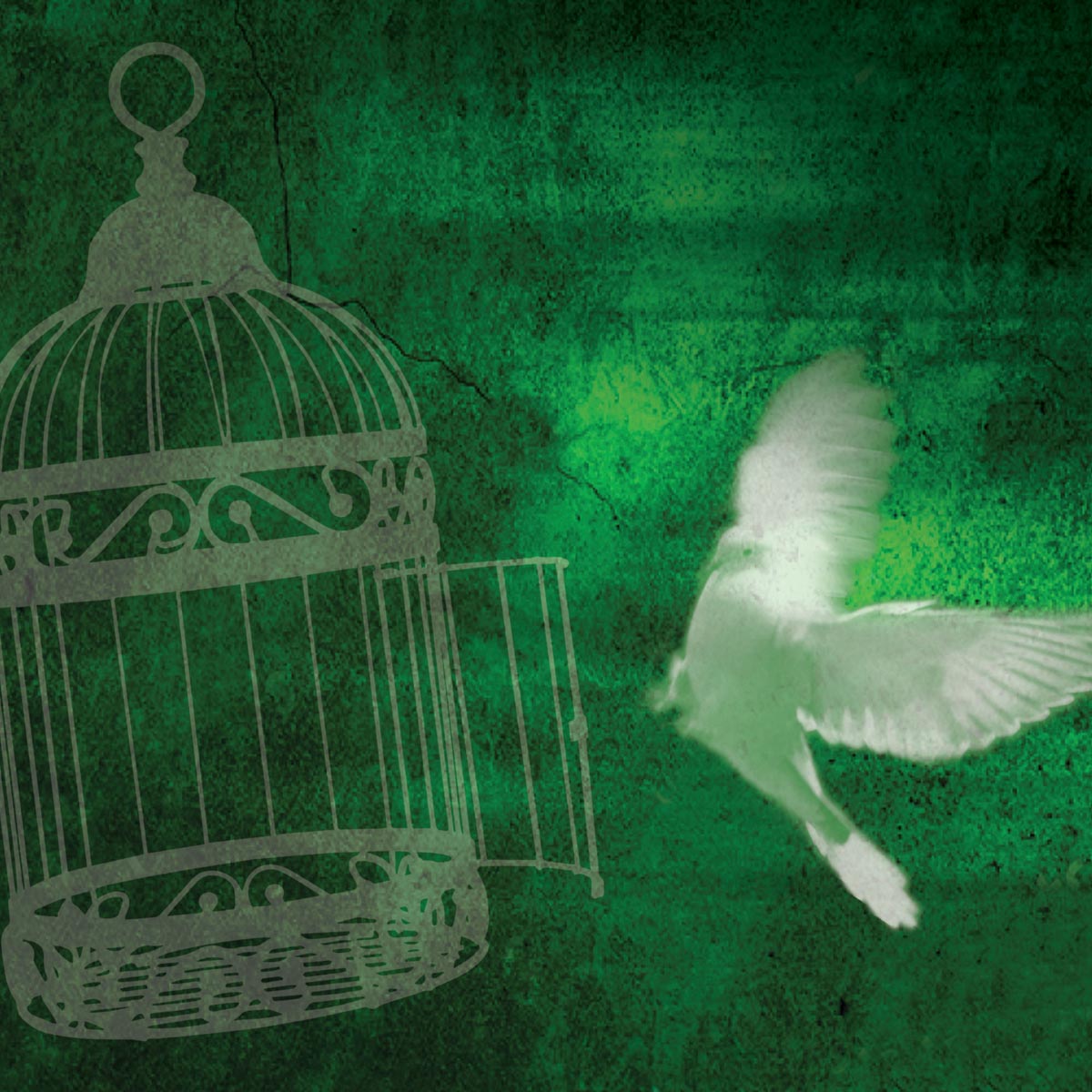A Cage In Search Of A Bird