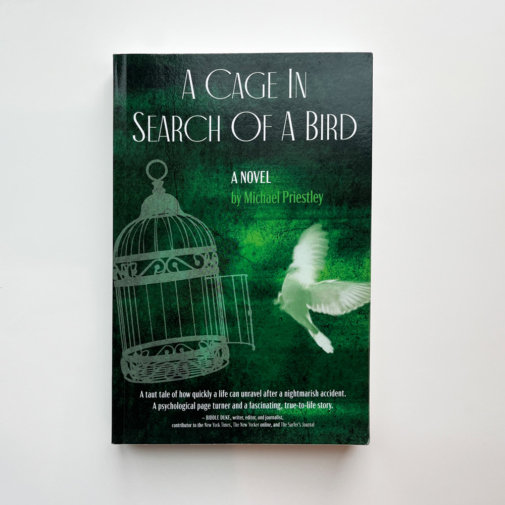 A Cage In Search Of A Bird